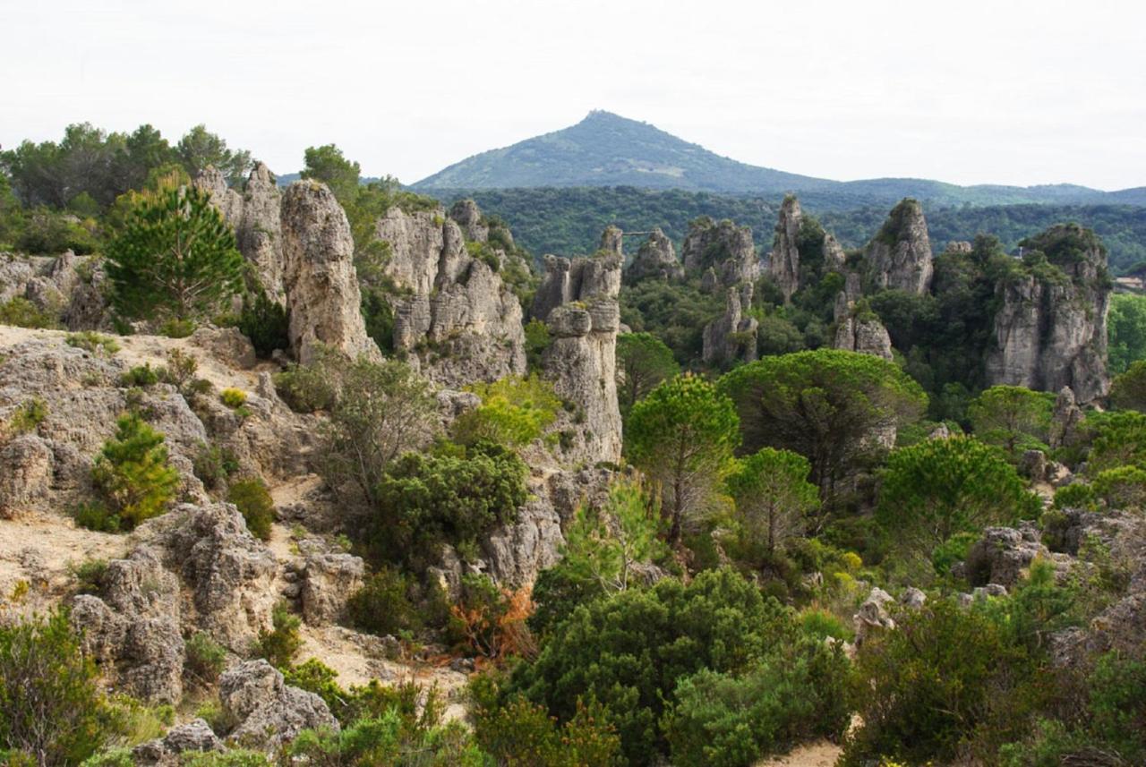 "Le Cocon"-Meuble De Tourisme 3 Etoiles -Residence "Les Logis De Beziers"-Garage Optionnel-Coeur De Ville-Plages A 16Km ! Luaran gambar